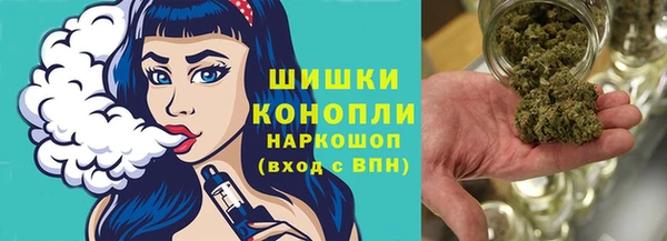 Альфа ПВП Инсар