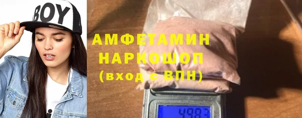 Альфа ПВП Инсар