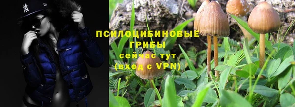 2c-b Усинск