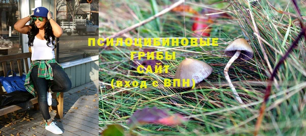соль курить ск Зерноград