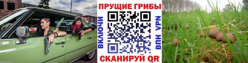 Псилоцибиновые грибы мухоморы  Среднеколымск 